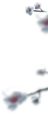 s1_pic2