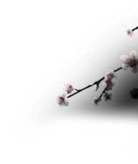 s1_pic5